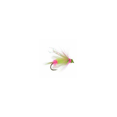 Hot Bead Assassin Fl