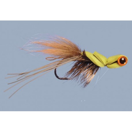 Swfts Goggle Eye Gurgler Frog