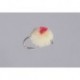 Light Roe Brite Glo Egg