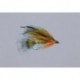 Teds Brook Trout