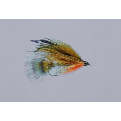 Teds Brook Trout