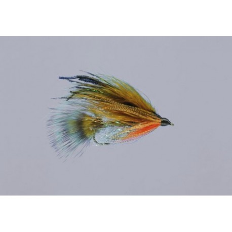 Teds Brook Trout