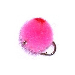 Pink Salmon Egg
