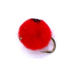 Red Salmon Egg