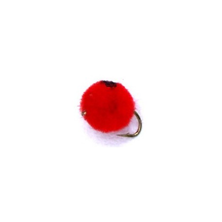 Red Salmon Egg