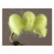 Scrambled Chartreuse