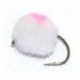 White Salmon Egg