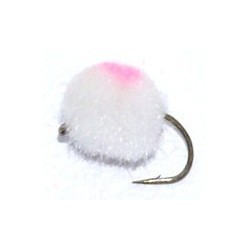 White Salmon Egg