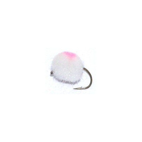 White Salmon Egg