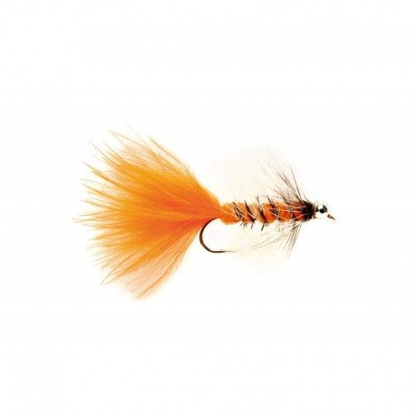 Bead Eye Orange