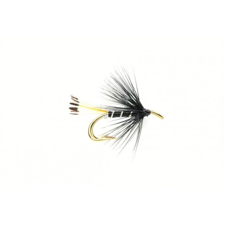 Black Penell