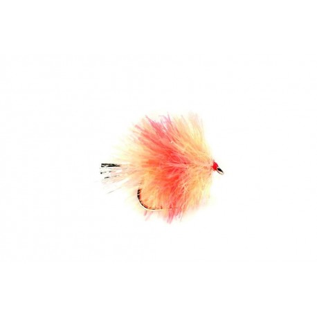 Blob Coral Spot
