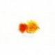 Blob Orange Nugget