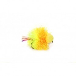 Booby Cocktail Sunburst
