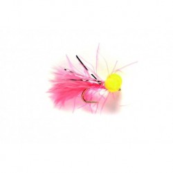 Booby Coral Mini
