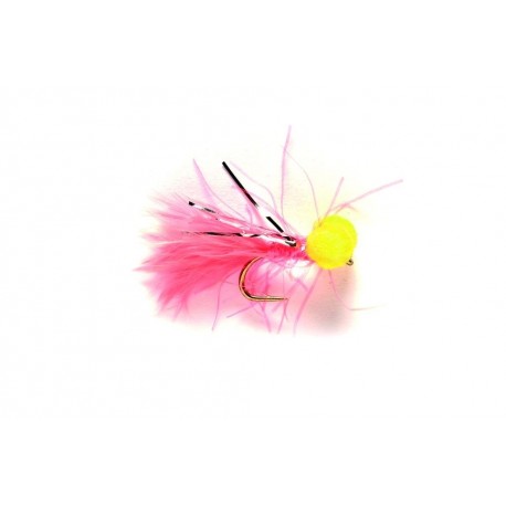 Booby Coral Mini