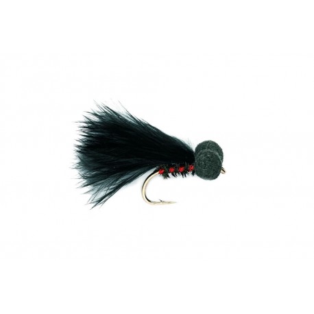 Booby Cormorant D Red