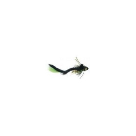 Umpqua Swimming Water Dog