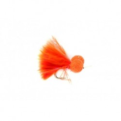 Booby Orange Straggle