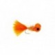 Booby Orange
