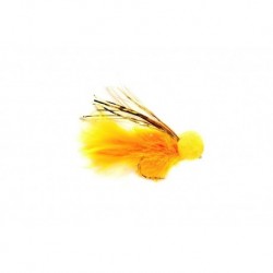 Booby Sunburst & Gold