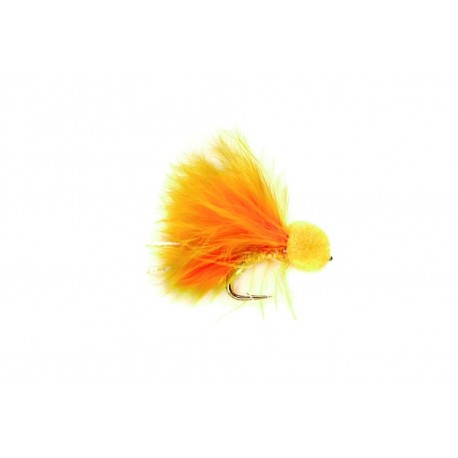 Booby Sunburst