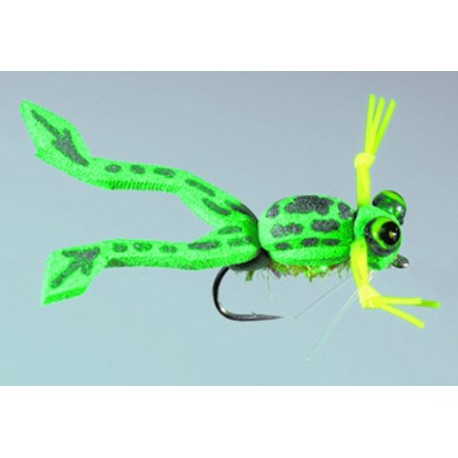 Wards Froglet