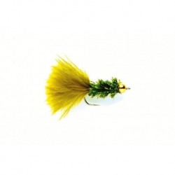 Cactus Fly Olive