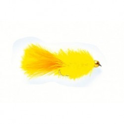 Cactus Fly Sunburst