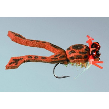 Wards Toadlet