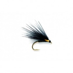 Cormorant Quill Flashback