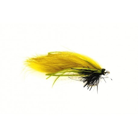 Creeper Olive