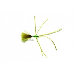 Critter Olive