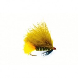 Dawson's Olive