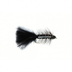 Golden Bullet Black