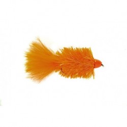 Golden Bullet Cactus Orange