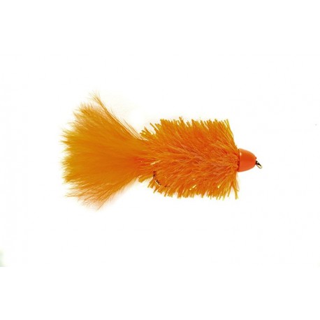 Golden Bullet Cactus Orange