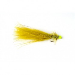 Hot Taddy Olive & Green