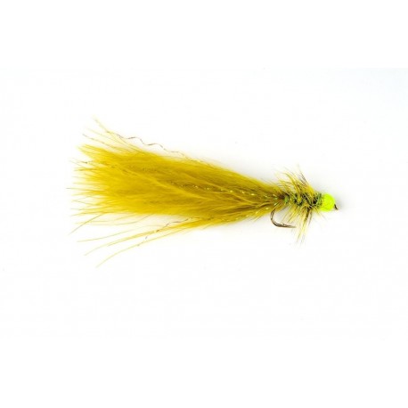 Hot Taddy Olive & Green