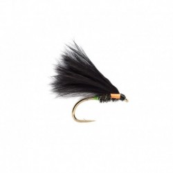 Kj Clifton Cormorant