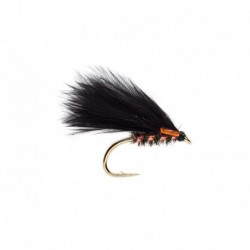Kj Uv Orange Cormorant