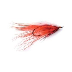 Sunkist Spey