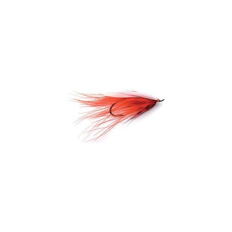 Sunkist Spey