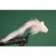 White Rabbit Strip Diver
