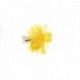 Micro Sunburst Blob Booby