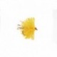 Micro Sunburst Blob