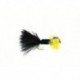 Montana Cactus Fly