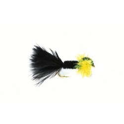 Montana Cactus Fly