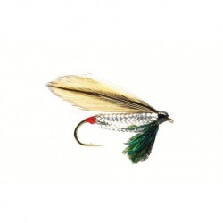 Silver Darter