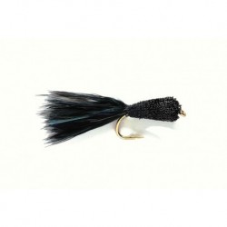 Taddy Black